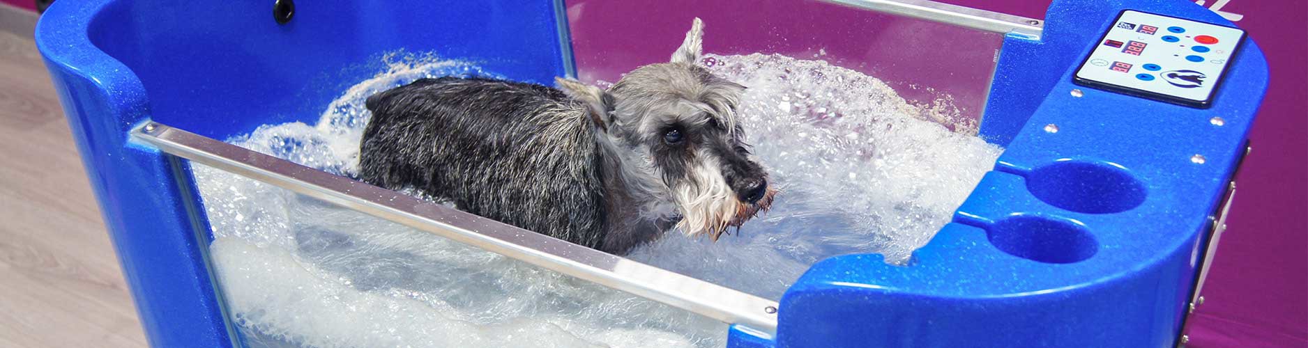 Ozonoterapia y spa para perros