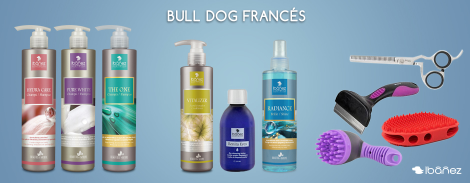Cosmética para Bulldog Inglés Cosmética y herramientas de peluquería para el cuidado del Bulldog Francés
