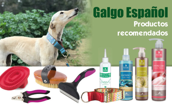 Cosmética para el Galgo Español