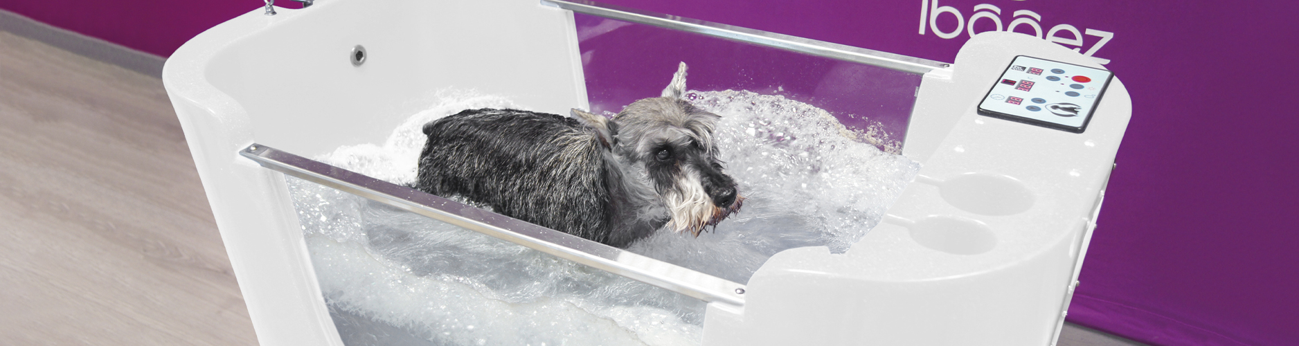 Ozonoterapia y spa para perros