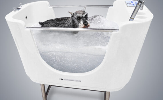 Baño Spa para perros