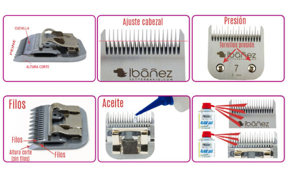 Cabezales peluquería: uso y mantenimiento