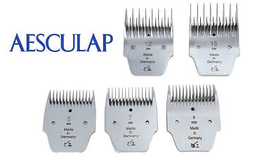 CABEZALES AESCULAP FAVORITA