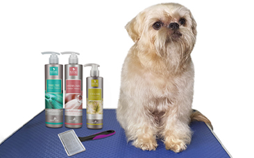 Tratamiento para solucionar la piel seca en perros